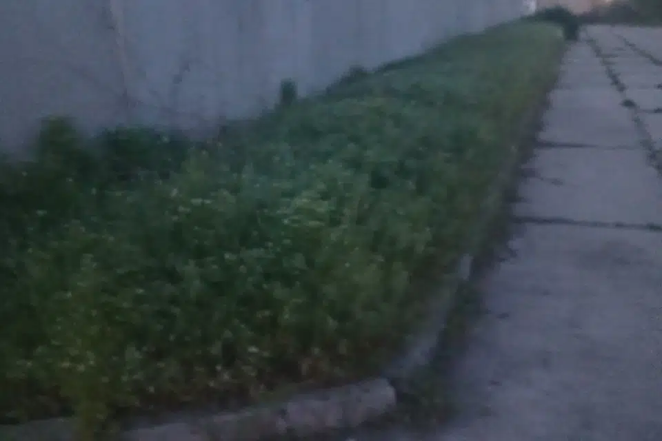 Продаётся земельный участок, 200 сот.