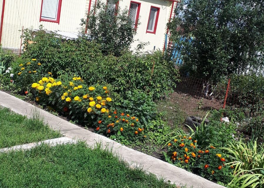 Купить Дом В Петровске Ишимбайского Района