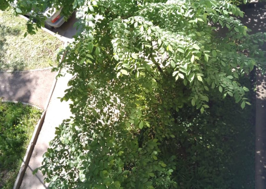 Продаётся 2-комнатная квартира, 41.9 м²