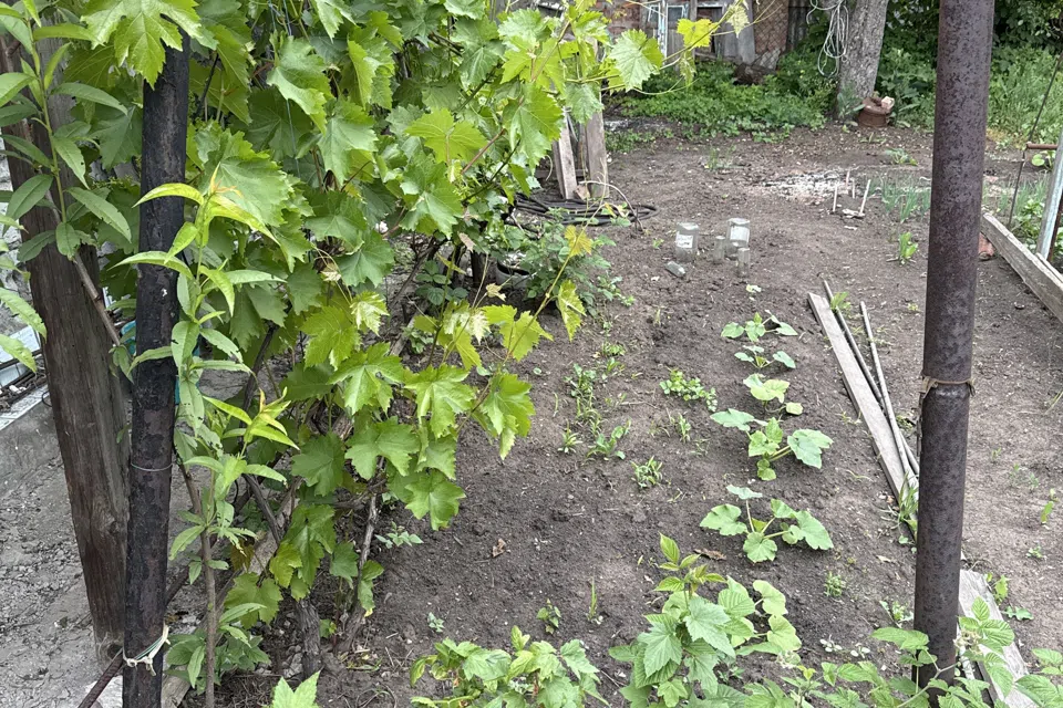 Продаётся 1-этажный дом, 39 м²