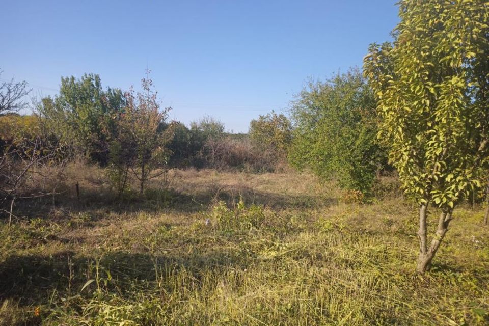 Снт авангард вареновка. Речка таганрог вареновка. Снт авангард вареновка. Снт авангард вареновка. Вареновка.