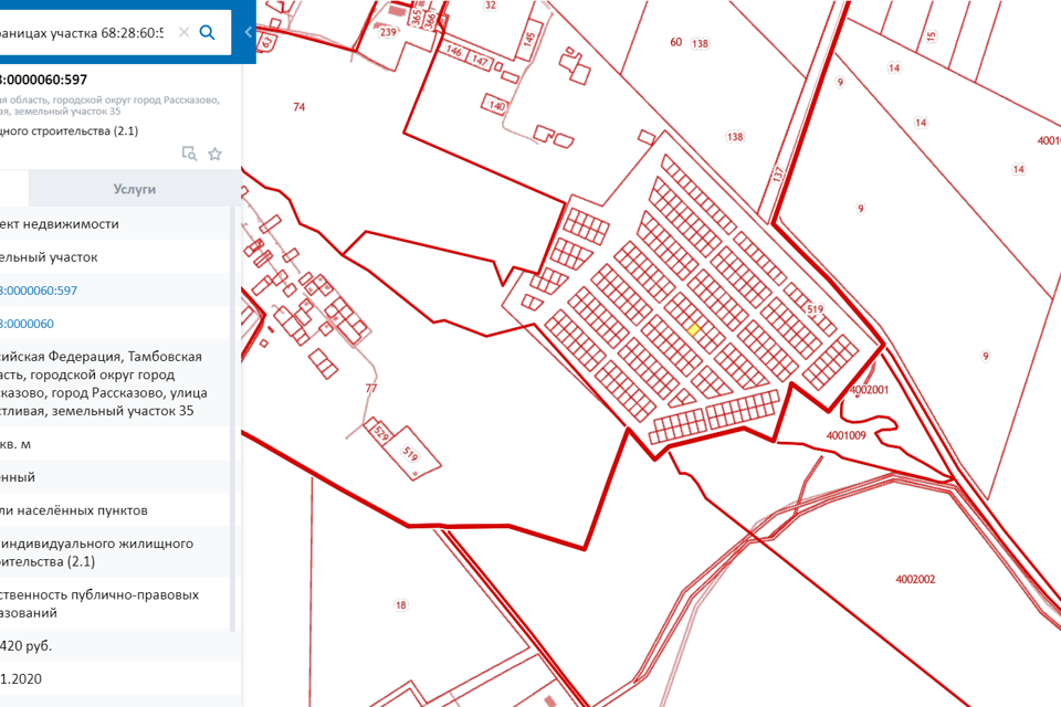 Публичная кадастровая карта г рассказово тамбовской области