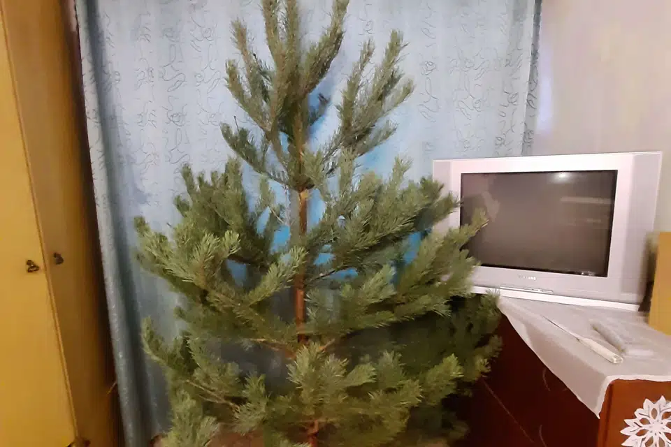 Продаётся 3-комнатная квартира, 56.4 м²