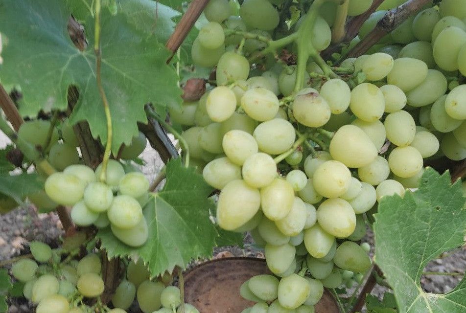 Продаётся 2-этажный дом, 251.9 м²