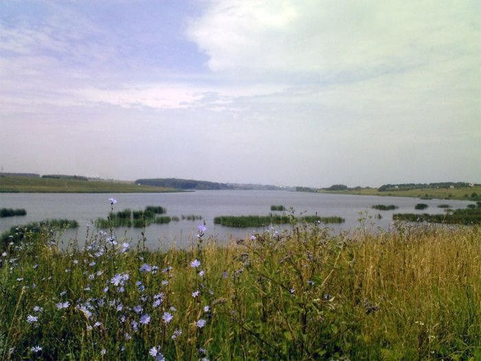 Корнеевское водохранилище