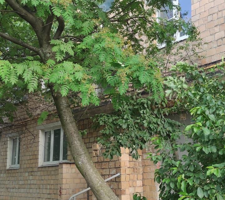 Продаётся 1-комнатная квартира, 32.5 м²