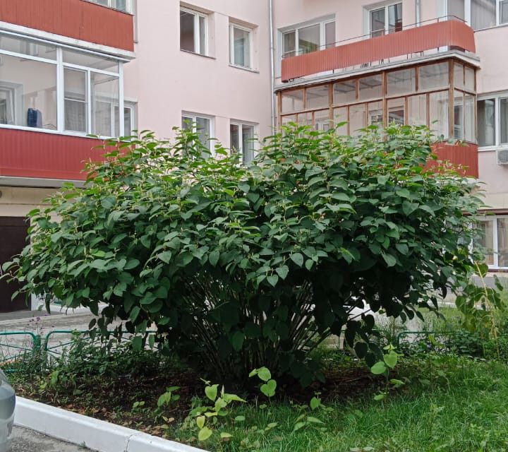 Продаётся 3-комнатная квартира, 71.4 м²