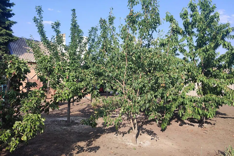 Продаётся 1-этажный дом, 82 м²