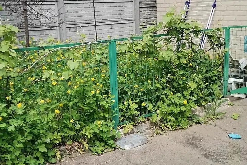 Продаётся 1-этажный дом, 64.9 м²