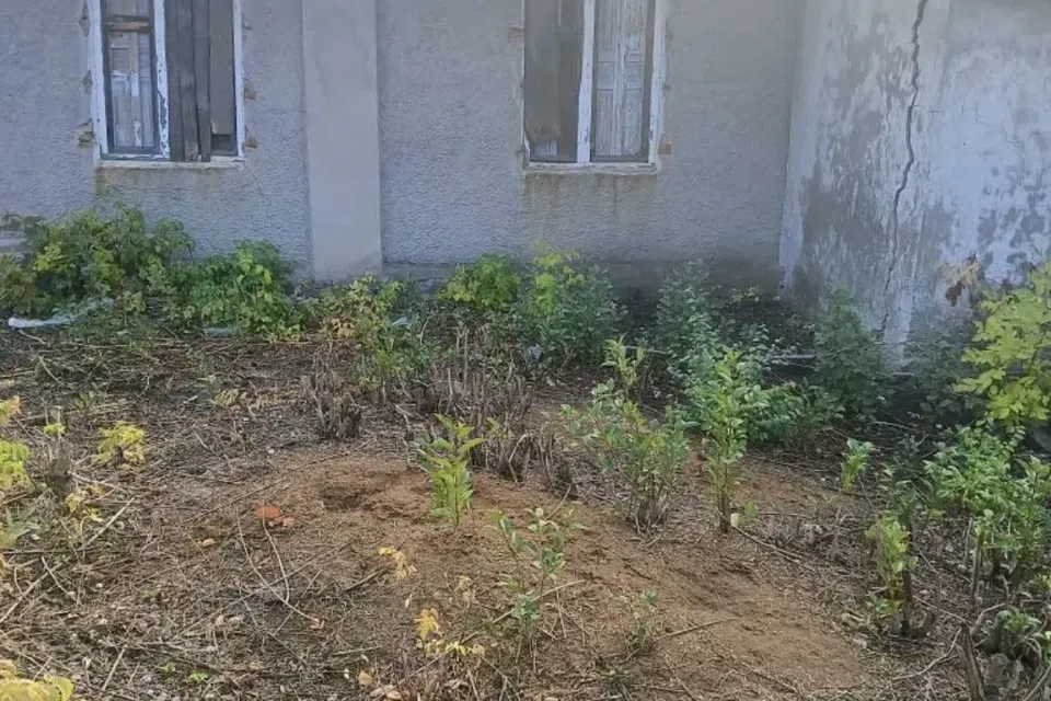 Продаётся 1-этажный дом, 79 м²