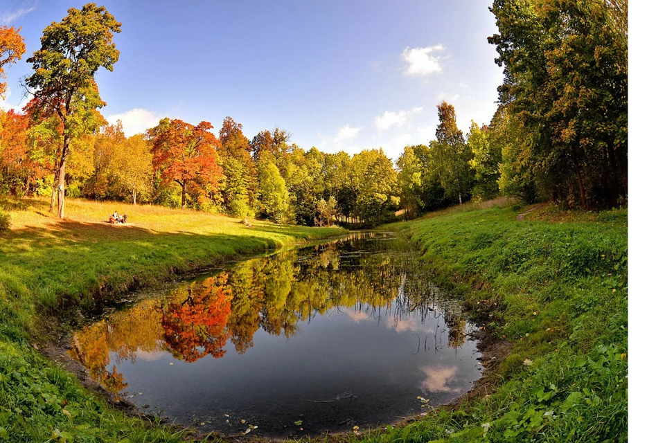 Купить Дом В Можайском Спб Красное Село