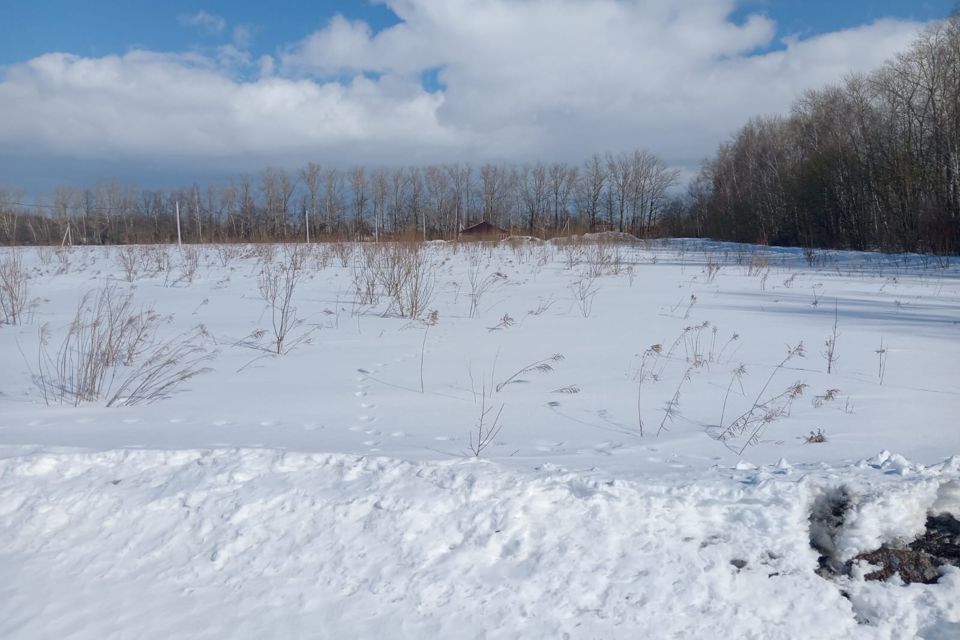 Купить Землю В Варских Рязань