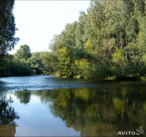 Село сетовка алтайский край. Кокши Алтайский край. Река Сетовка Алтайский край. Село Кокши фото.