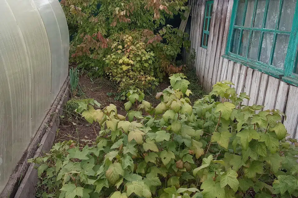 Продаётся 1-этажный дом, 36.1 м²