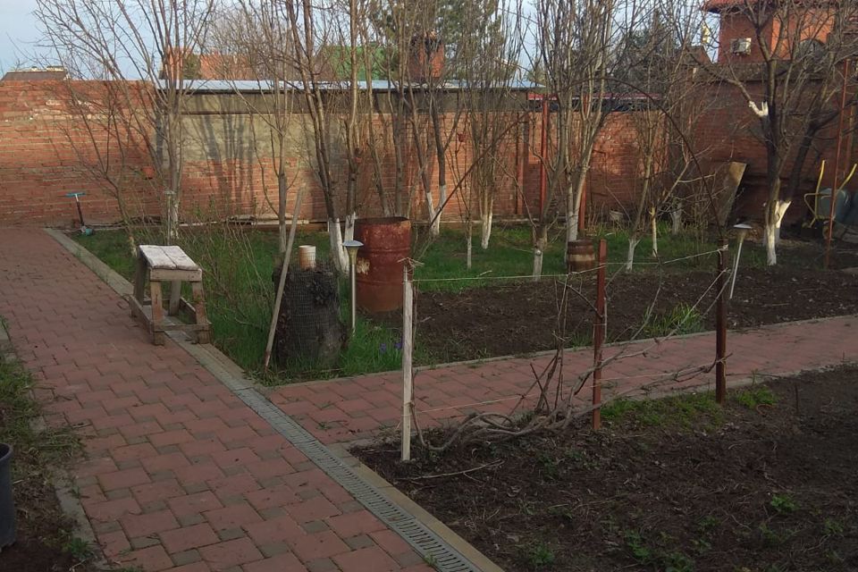 Днт ростсельмашевец. Днт ростсельмашевец