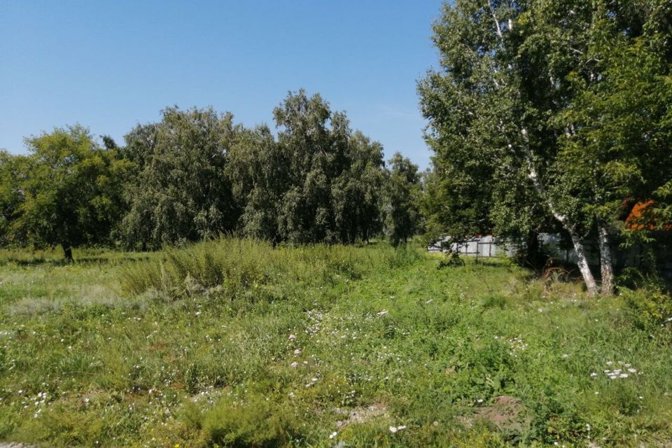 Спк 20. Новосибирская область, р-н искитимский, спк &quot;успех&quot;.