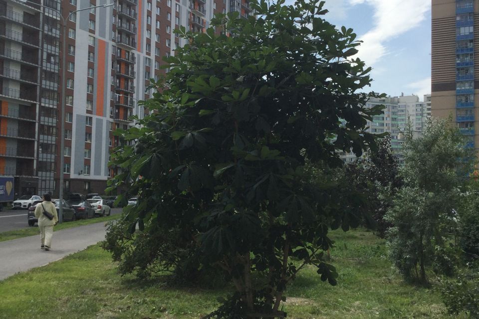 Продаётся 1-комнатная квартира, 32 м²