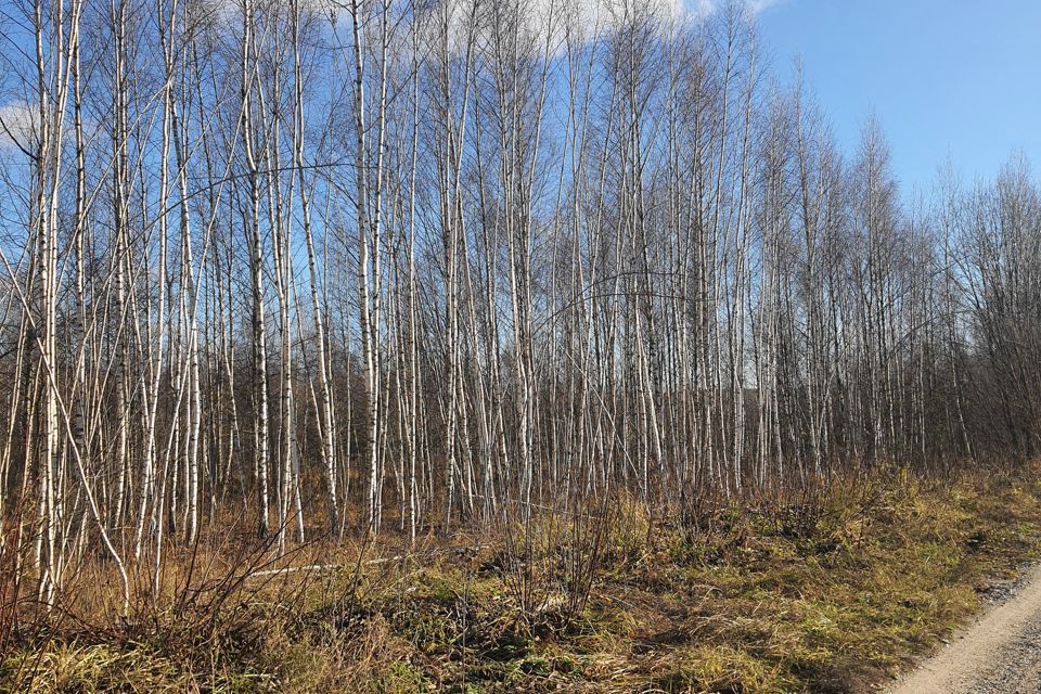 Купить Участок В Деревне Нижегородской Области