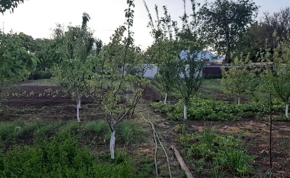 Продаётся 1-этажный дом, 68 м²