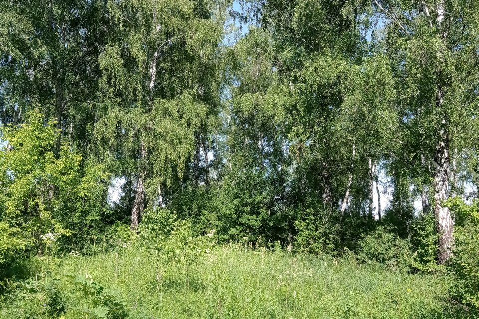 Купить Участок Первомайский Королев
