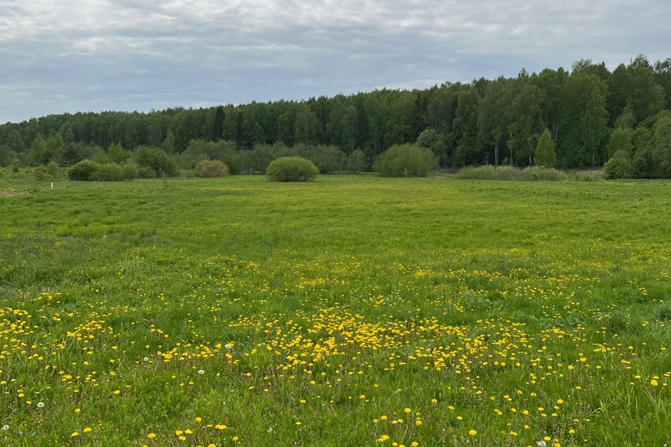 Купить Участок Земли В Ивановской Области