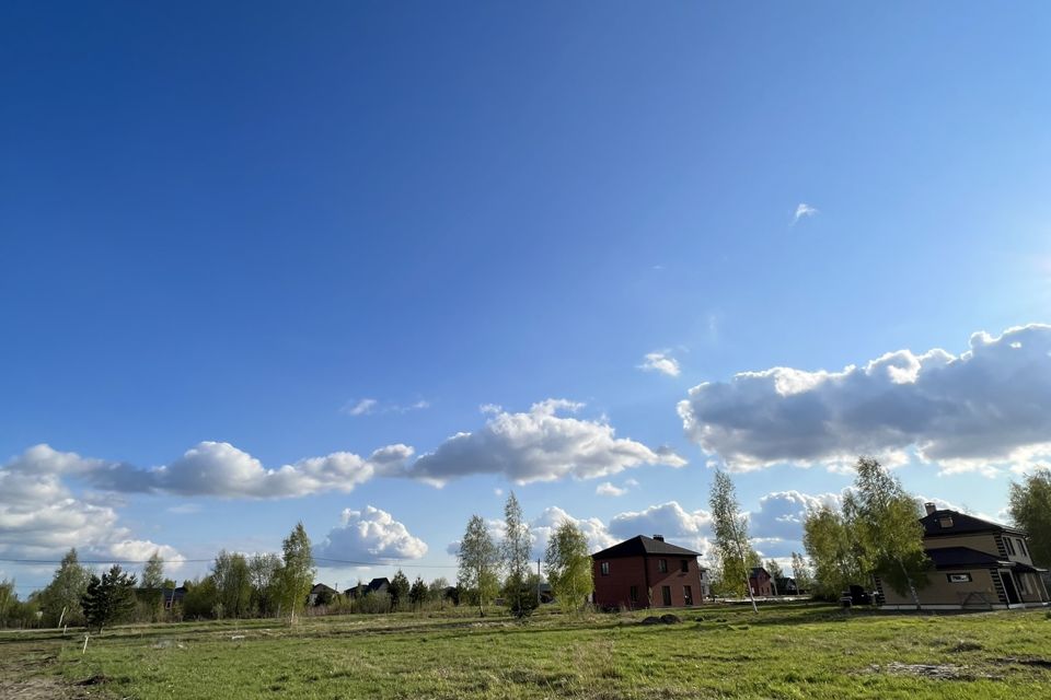 Васильковые поля Ярославль