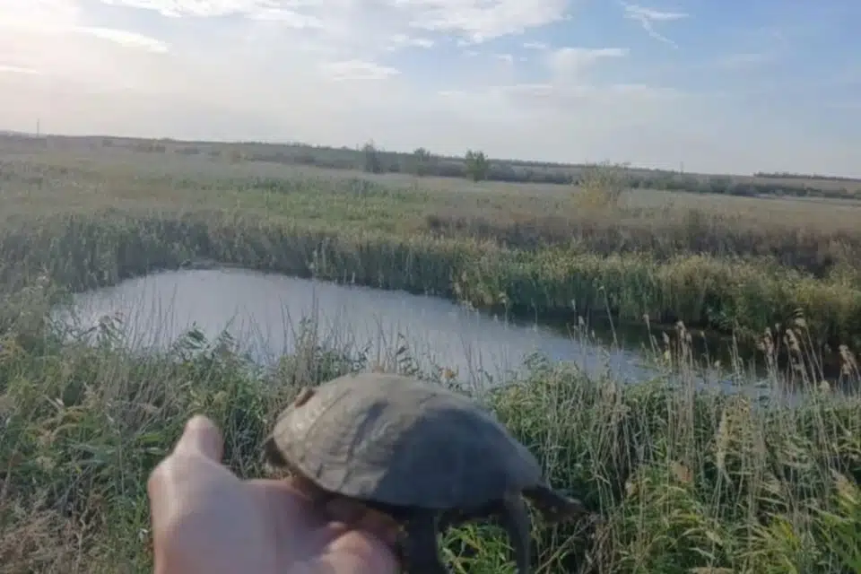 Продаётся участок, 11.7 сот., ИЖС