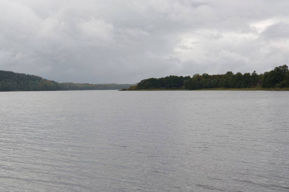 Полянское озеро: отдых на природе с возможностью рыбалки в Ленинградской области