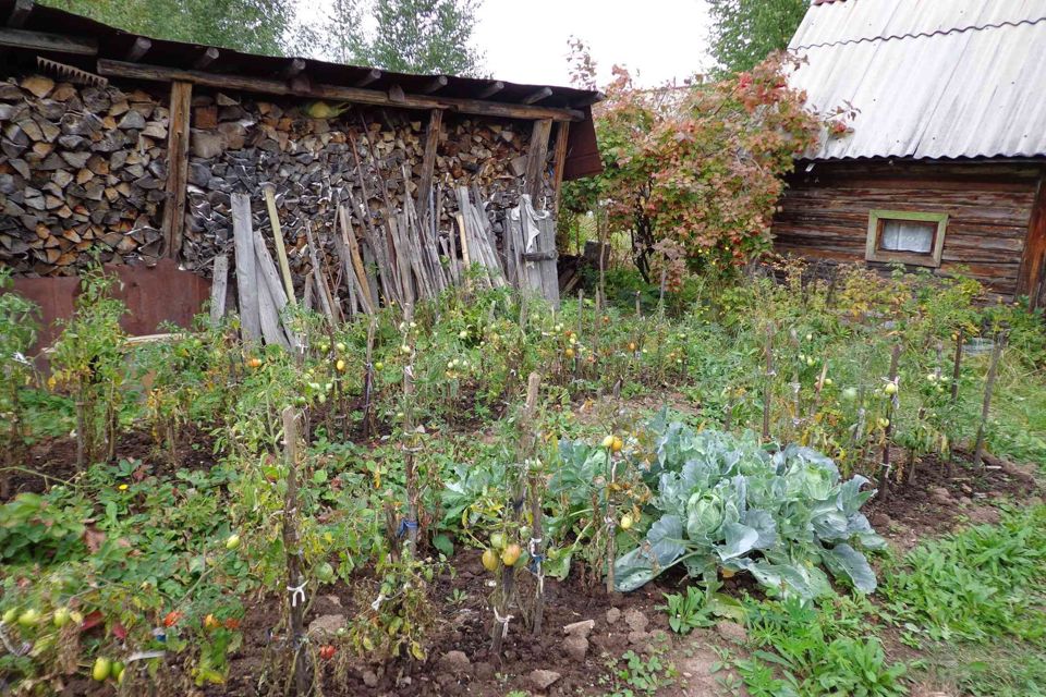 Садовый участок пермь. Деревня Челяба Пермский край. СНТ Родничок 1 Пермь. СНТ Заречный Бершеть. Бершеть Пермский край.