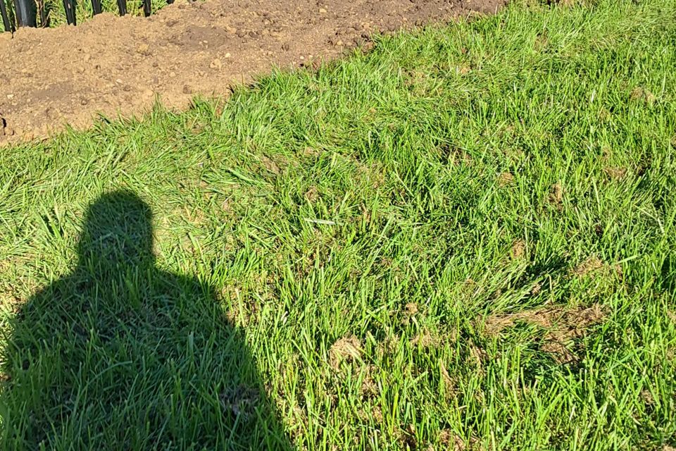 фото отбъекта