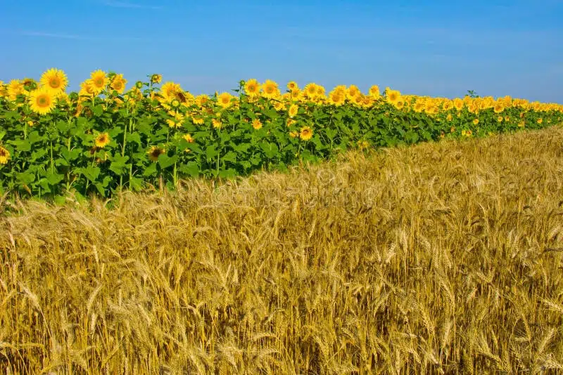 Продаётся участок, 86900 сот., Фермерский