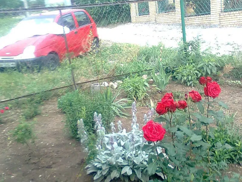 Продаётся 1-этажный дом, 22 м²