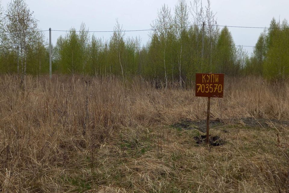 Пенза бакшеевка фото. Участки под ижс пенза. П мичуринский пензенская область. Рамзай (село). Яблони парк пенза коттеджный 238 участок.
