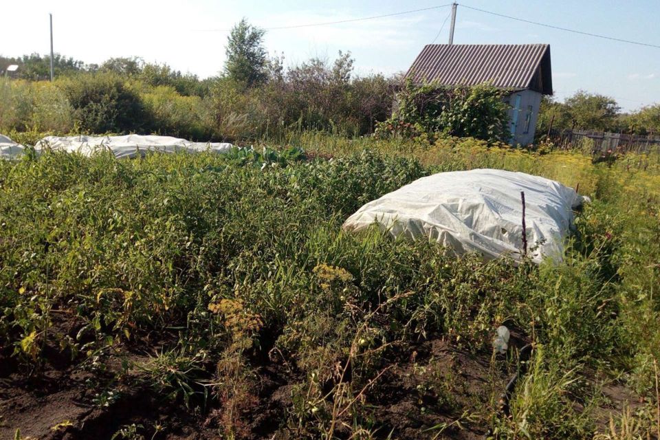 Снт Дони Гатчинский Район Купить Участок