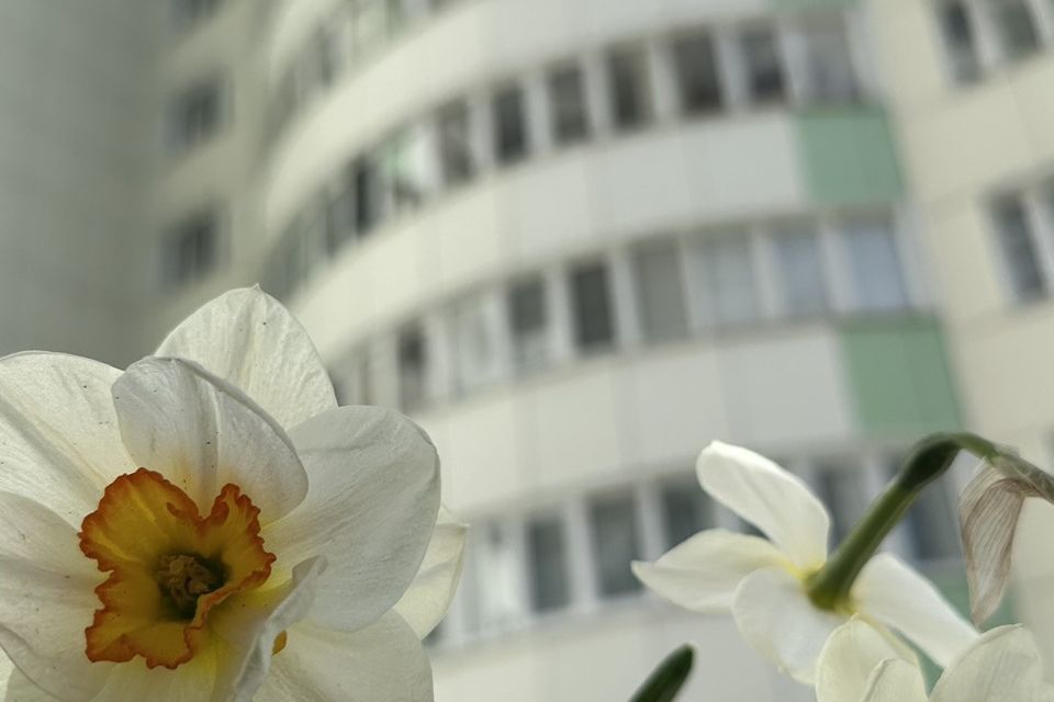 Продаётся 3-комнатная квартира, 80.6 м²