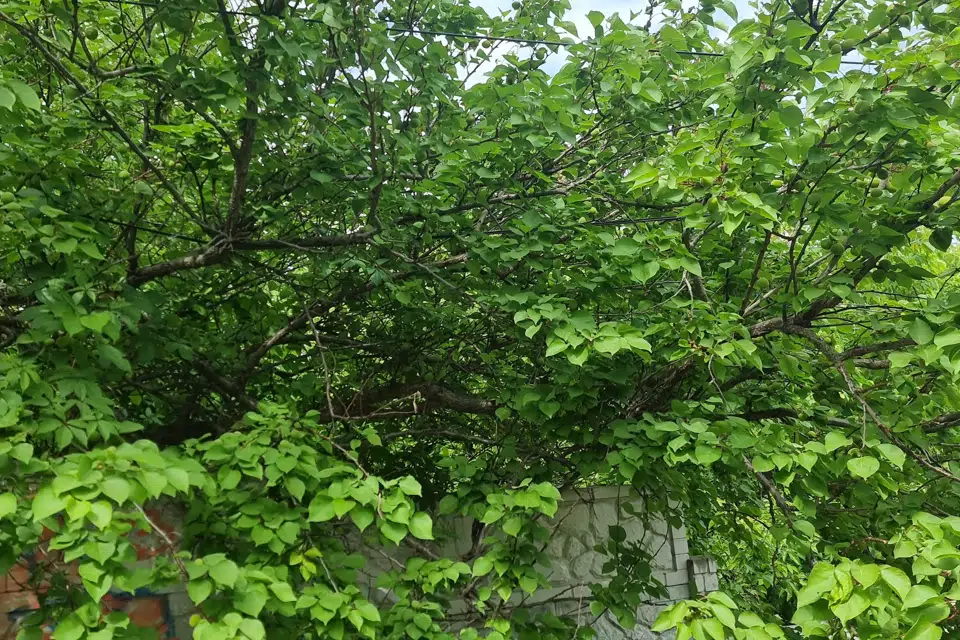 Продаётся участок, 15 сот., ИЖС