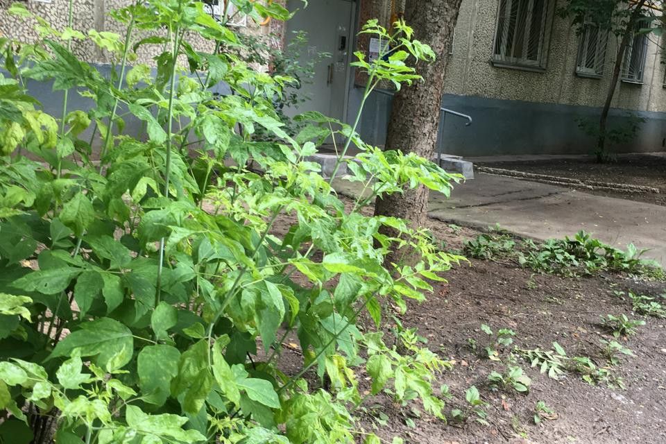 Продаётся 2-комнатная квартира, 45.5 м²