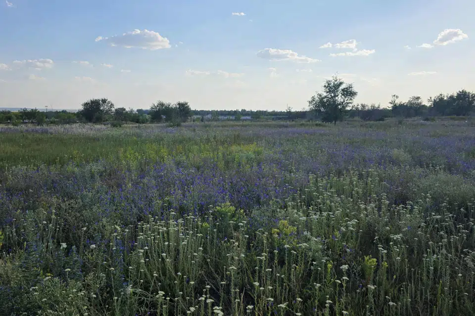 Продаётся участок, 8 сот., ИЖС