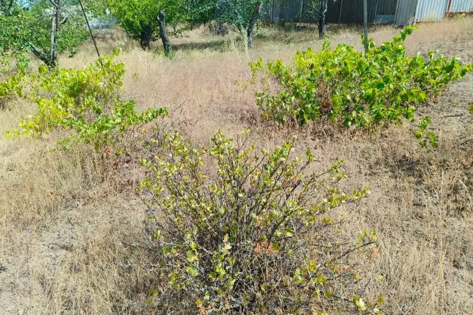 Продаётся участок, 12 сот., ИЖС