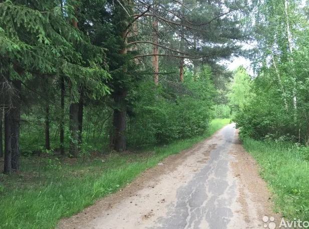 Где Находится Волково В Рыбинске Фото