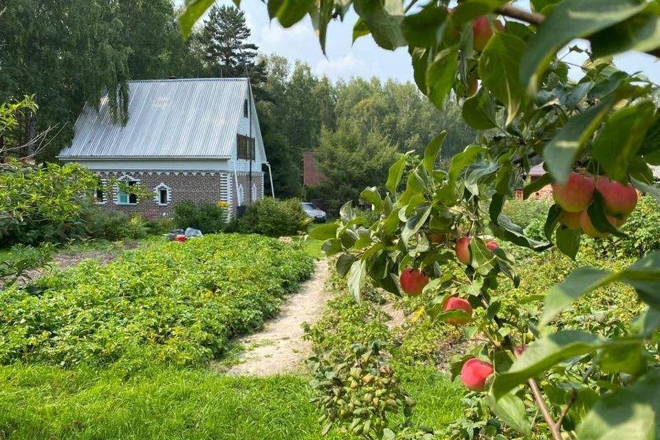 Село Обское Томской области. Зайцево Кожевниковского района Томской области. Деревня Сафроново. Село с 95 дворами.