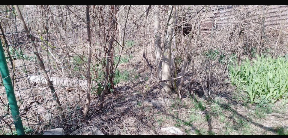 Продаётся 1-этажный дом, 44 м²