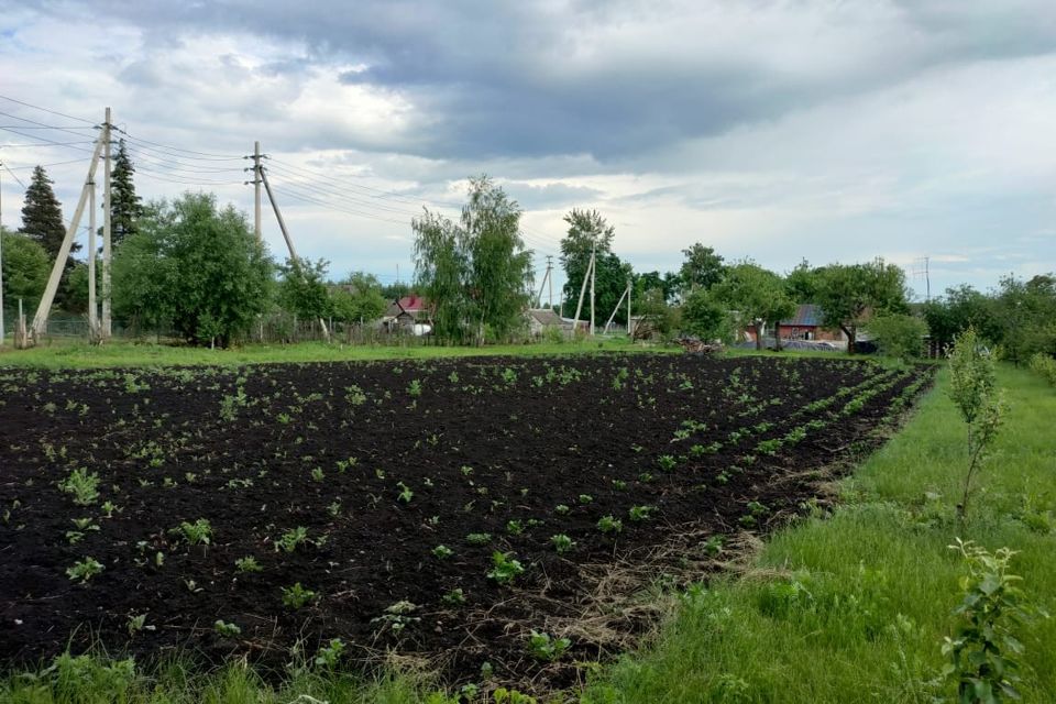 Авито липецкая область село красное. Село Николаевка Липецкая область.