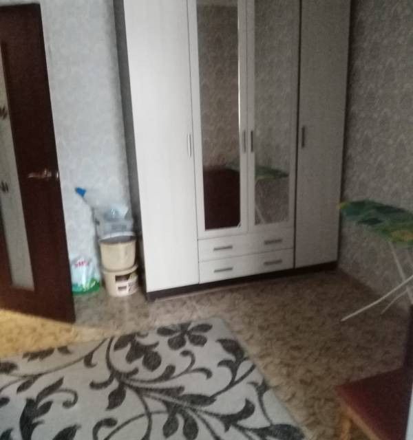 Новогодняя 16 Кедровка Купить Новогодняя 16 Кедровка Купить