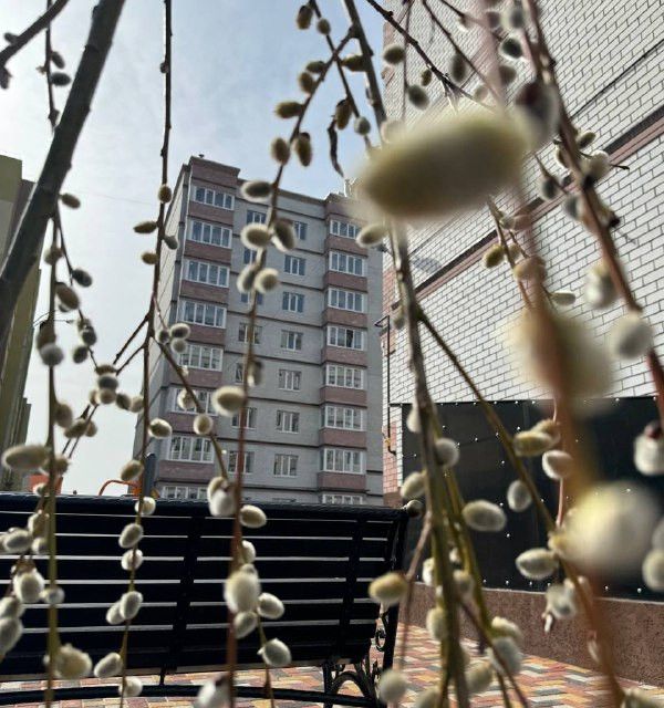 Продаётся 1-комнатная квартира, 38.56 м²