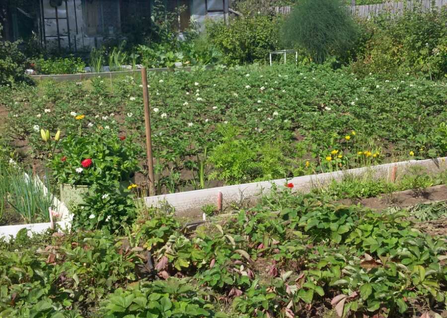 Купить Дачу В Нижневартовске С Пропиской