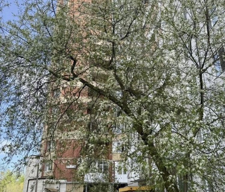 Продаётся 1-комнатная квартира, 42.6 м²