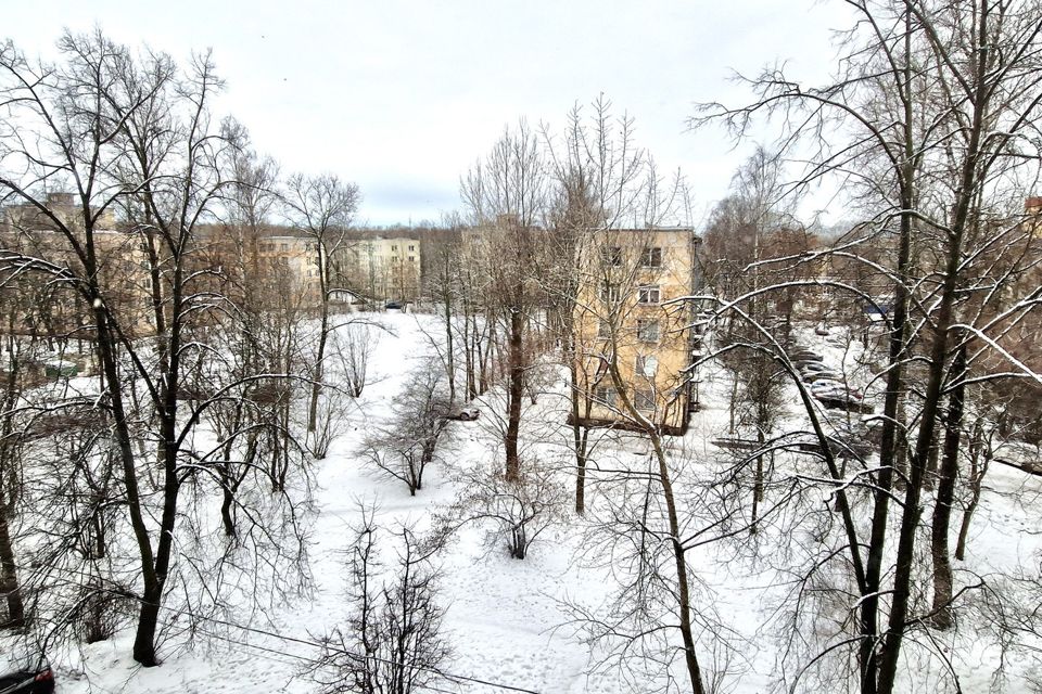 Как живется в Кировском районе Санкт-Петербурга