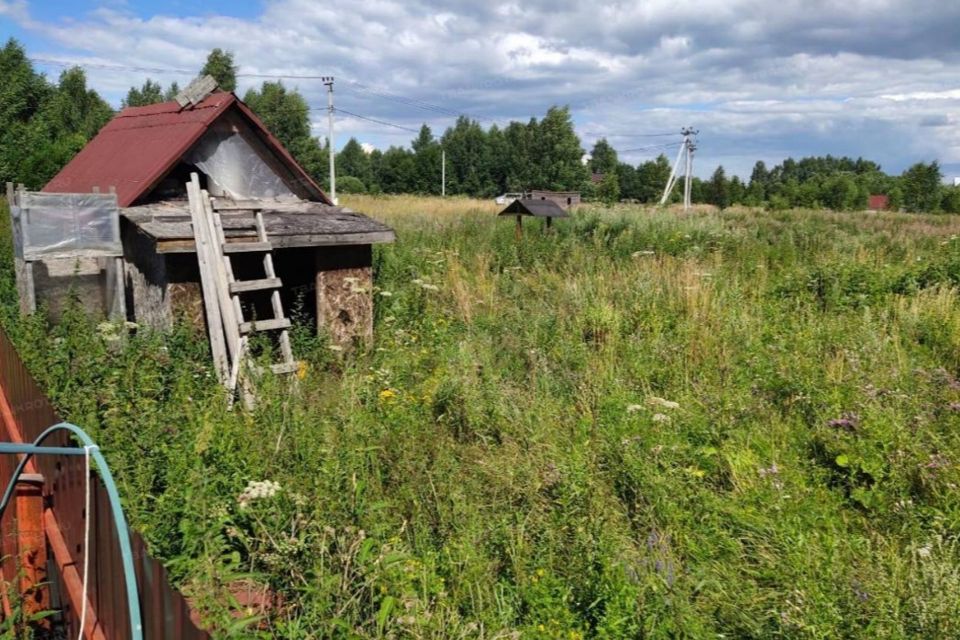 Подберезье город