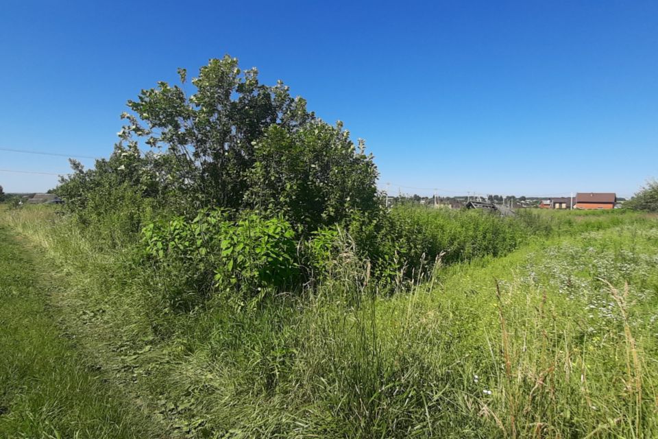 Деревня тешеничи брянской области овражная 29. Участки ижс брянск. Участки ижс брянск. Участки ижс брянск. Участок нижний брянская область.